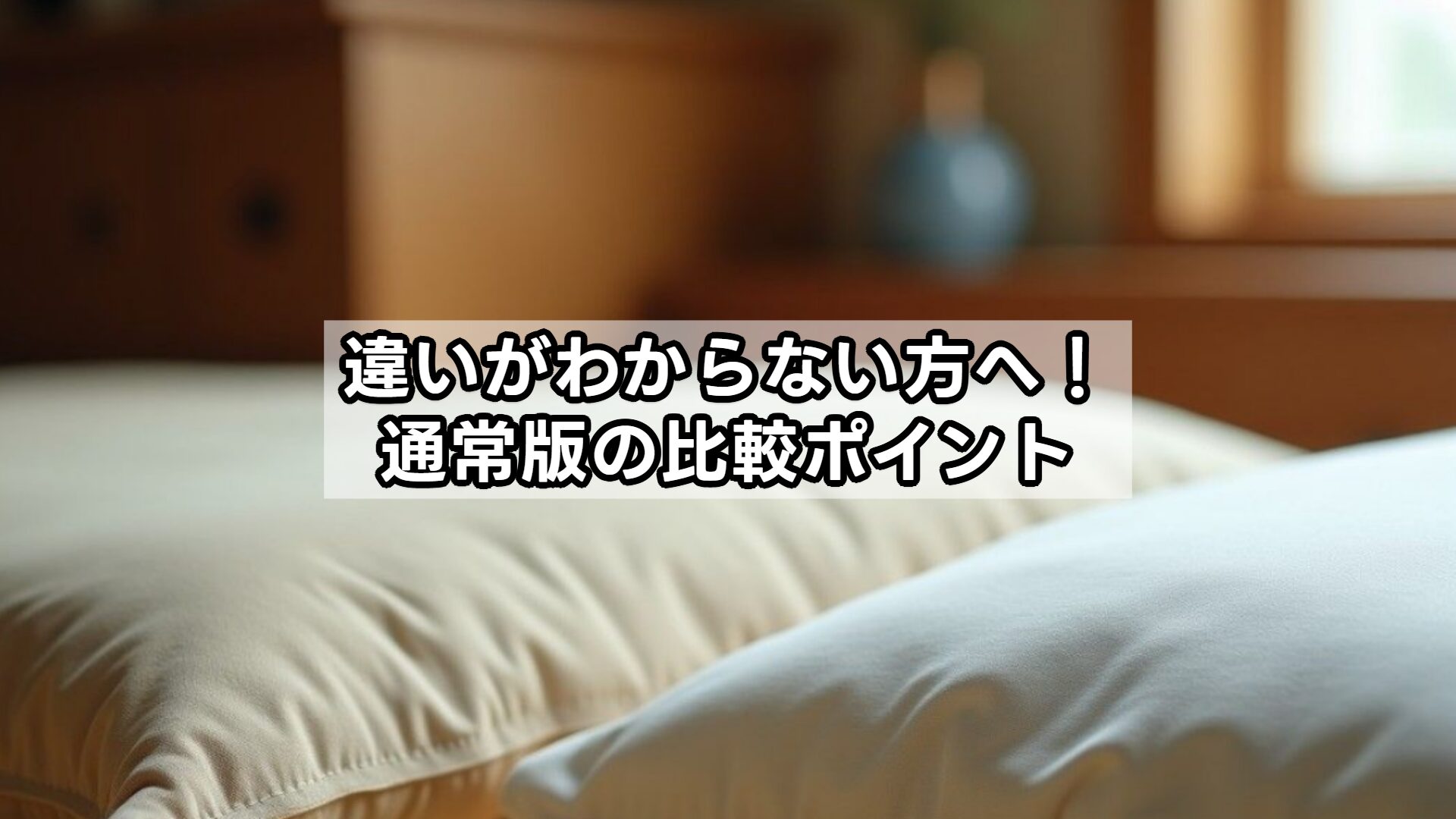 違いがわからない方へ!通常版の比較ポイント