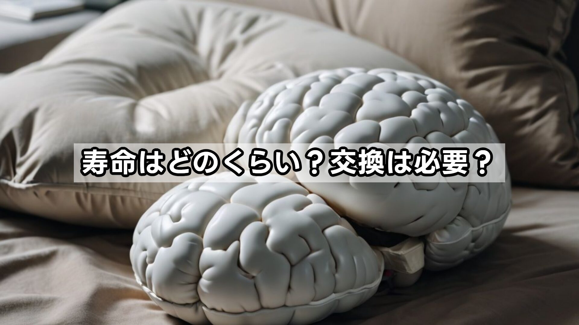 寿命はどのくらい?交換は必要?